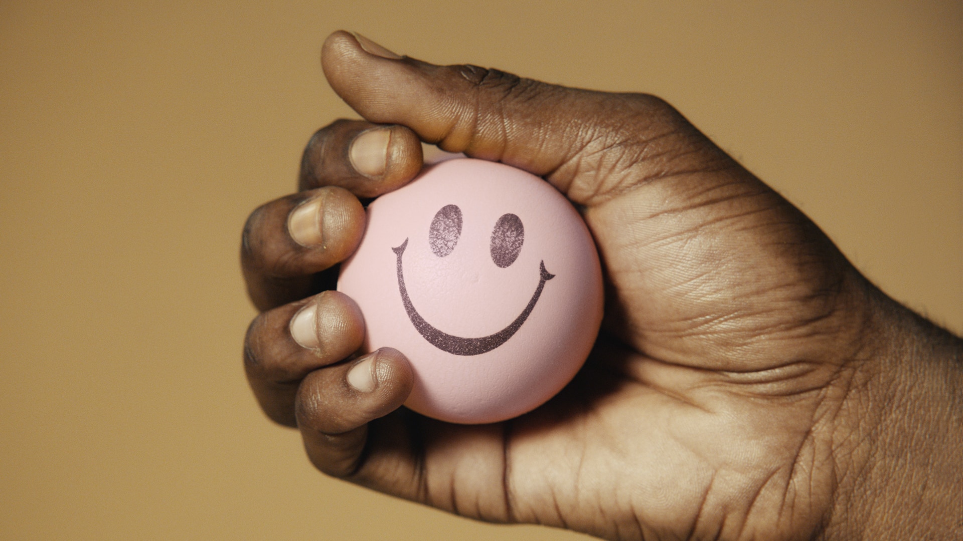 COSMOS LAC | OUR COSMOS